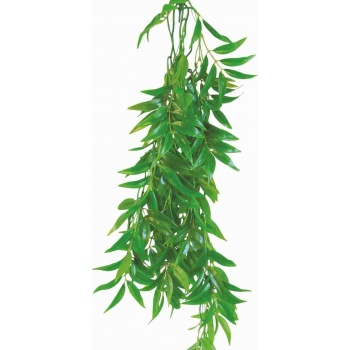 product_img9