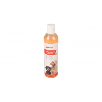 product_img9