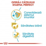product_img2