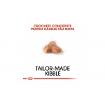 product_img3