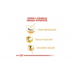 product_img2