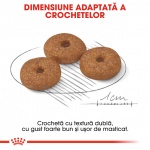 product_img0