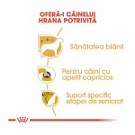 product_img2