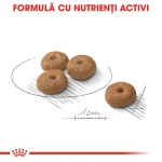 product_img2