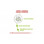 product_img2