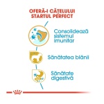 product_img2
