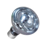 5379_res_0eea998b21cb975076ed064b894190b3