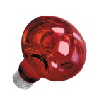 5385_res_8bcbe7b11d4ac3170416b6e248aa87fe