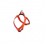 product_small_img2