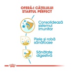 product_img2
