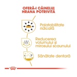 product_img2