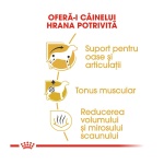 product_img2