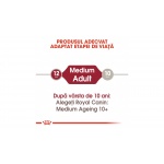 product_img2