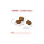 product_img3