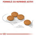 product_img2