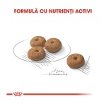 product_img3