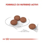 product_img3