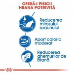 product_img2