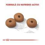 product_img3