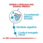 product_img2