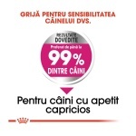 product_img3