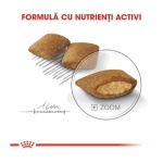 product_img2