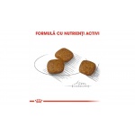 product_img3