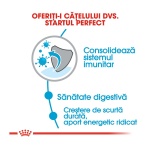product_img0