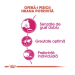product_img2