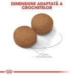 product_img3