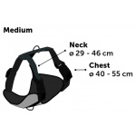 product_img2