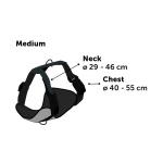 product_img2