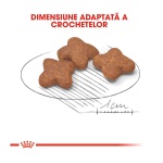 product_img3